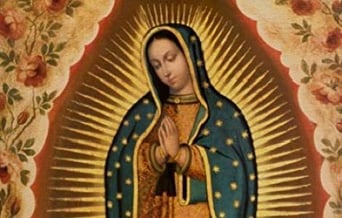 America_Mexico_Feast of our Lady of Guadalupe_Fides