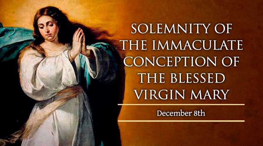 Solemnity Of The Immaculate Conception Of The Blessed Virgin Mary ...