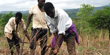 malawi farmers